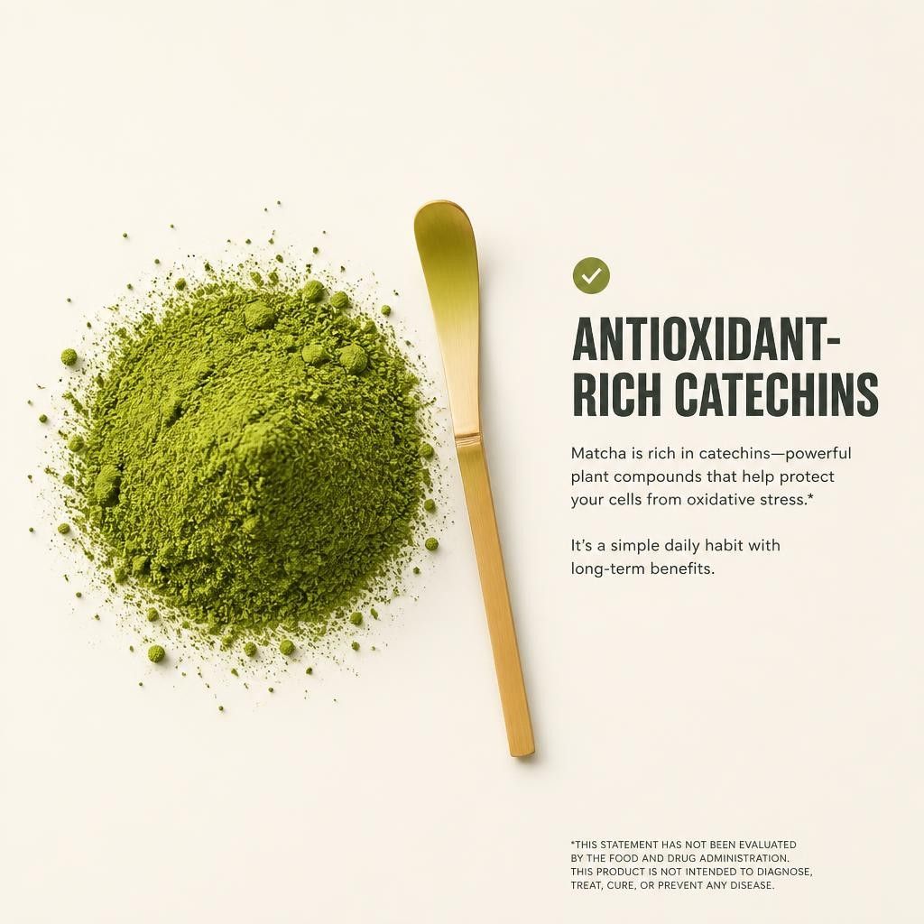 Mushroom matcha powder flat lay with antioxidant-rich catechins benefit callout